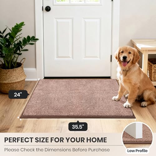 Dirt Trapping Indoor Door Mat