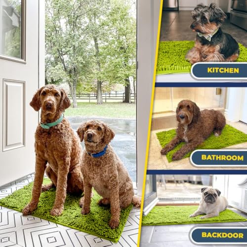 Super Water Absorbent Door Mat Indoor (8 Sq Ft)