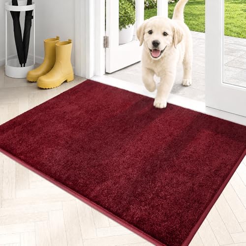 Dirt Trapping Indoor Door Mat