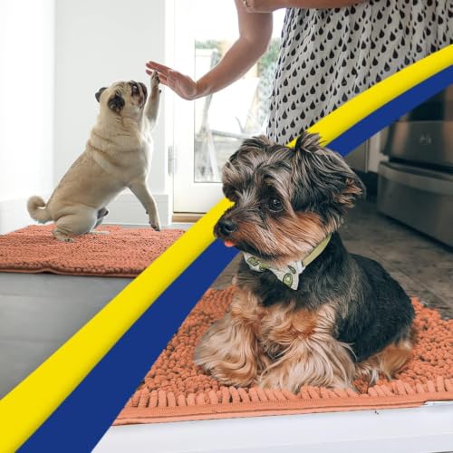 Super Water Absorbent Door Mat Indoor (18 Sq Ft)