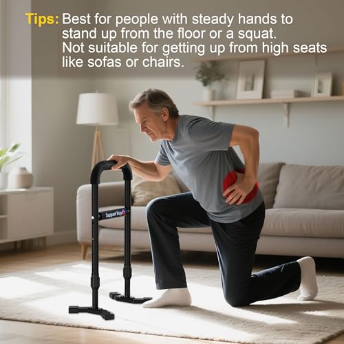Stand Assist Aid Plus for Floor & Low Seats