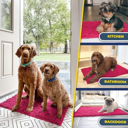 Super Water Absorbent Door Mat Indoor (9 Sq Ft)