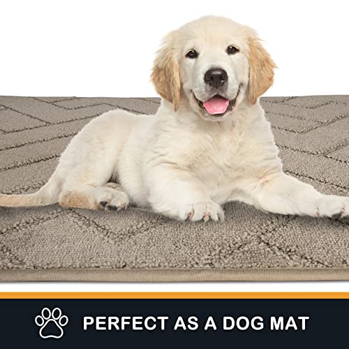 Dirt Trapping Door Mat Indoor Entrance