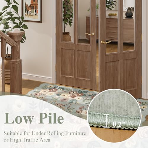 2x3 Rug for Entryway (6 Sq Ft)