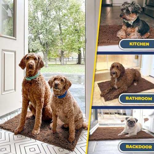Super Water Absorbent Door Mat Indoor
