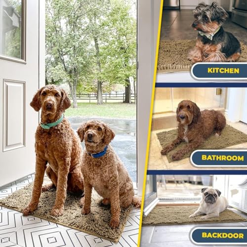 Super Water Absorbent Door Mat Indoor