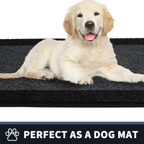 Dirt Trapping Indoor Door Mat