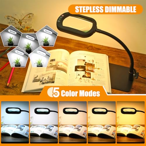 12X Rectangle Magnifying Glass with Light and Stand