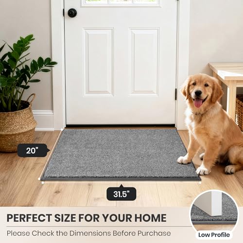 Dirt Trapping Indoor Door Mat