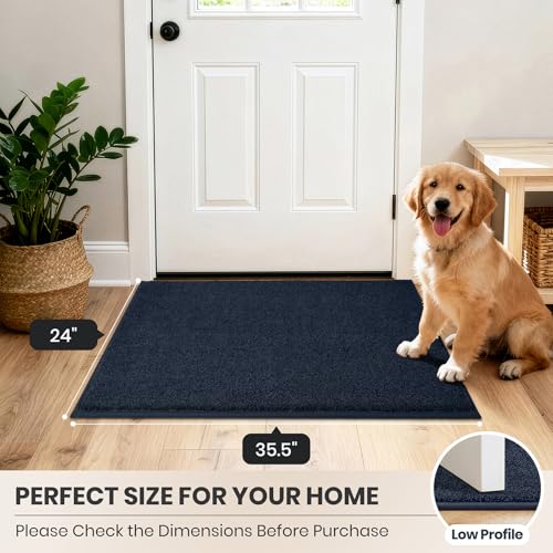 Dirt Trapping Indoor Door Mat
