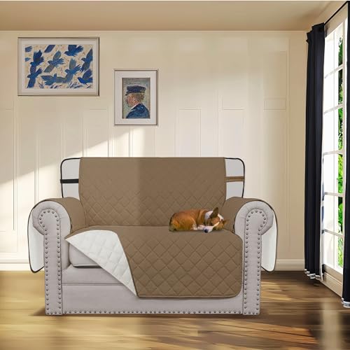 Reversible Couch Cover
