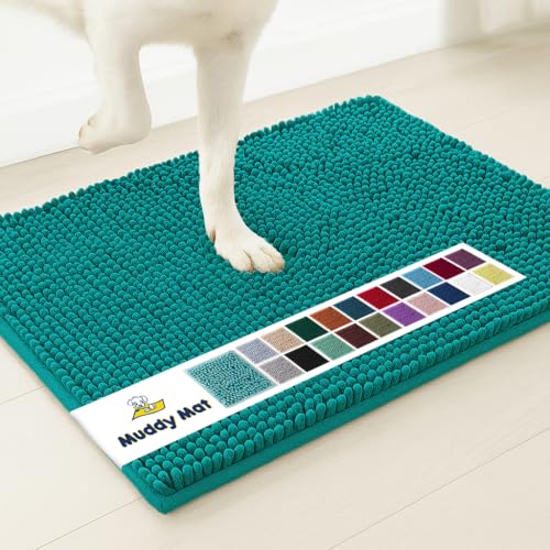 Super Water Absorbent Door Mat Indoor
