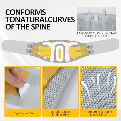Lower Back Brace for Women and Men