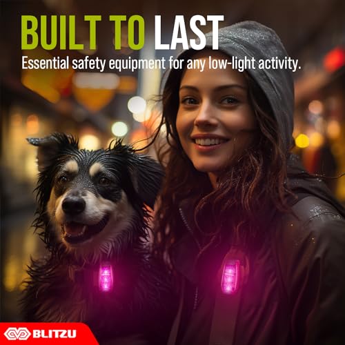 LED Safety Lights 4 Pack (4 Count)
