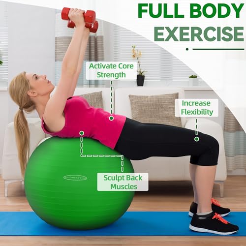 Anti Burst Slip Resistant Exercise Ball with Quick Pump