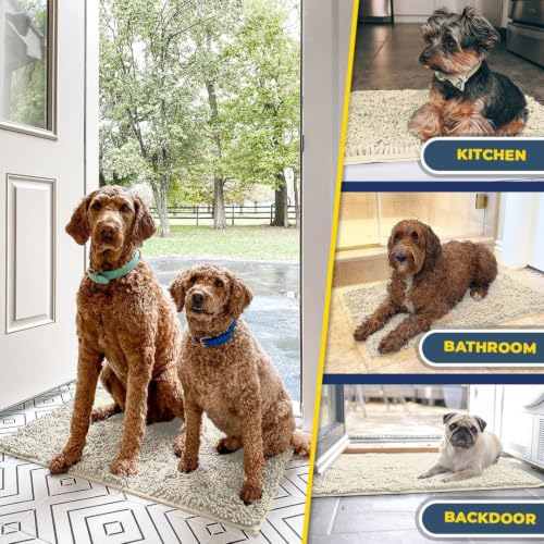 Super Water Absorbent Door Mat Indoor (13 Sq Ft)