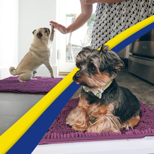 Super Water Absorbent Door Mat Indoor