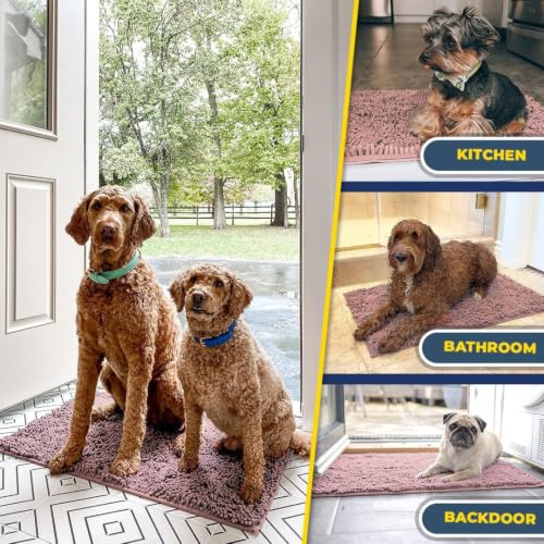 Super Water Absorbent Door Mat Indoor (10 Sq Ft)