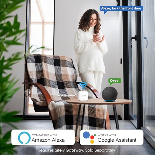 Fingerprint Smart Door Lock with Handle & Keypad