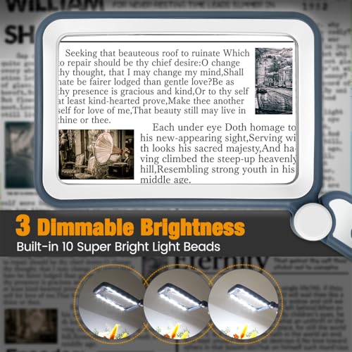 Rechargeable Magnifying Glass with Light for Reading