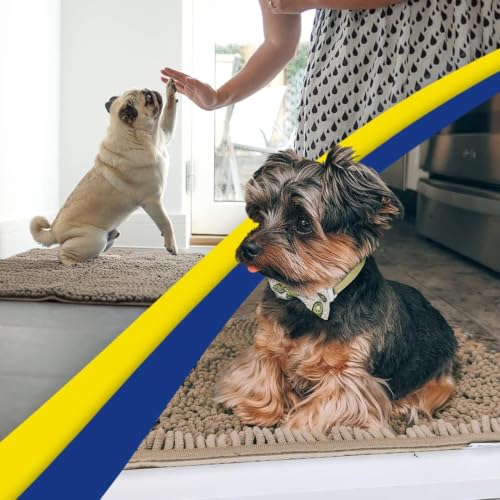 Super Water Absorbent Door Mat Indoor (16 Sq Ft)