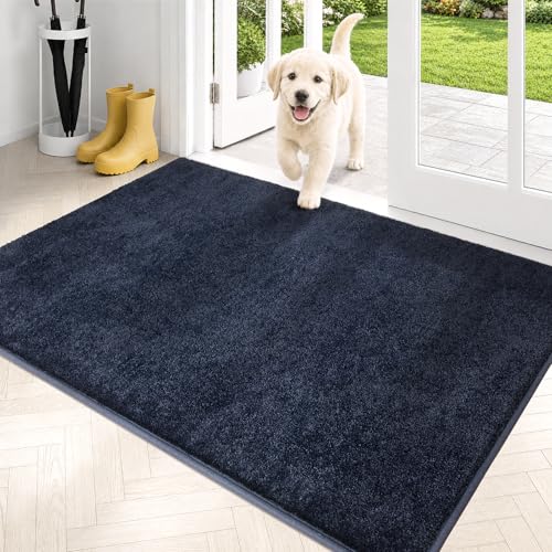 Dirt Trapping Indoor Door Mat