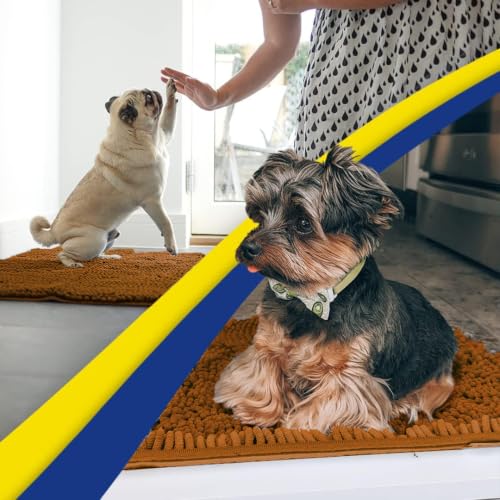 Super Water Absorbent Door Mat Indoor (12 Sq Ft)