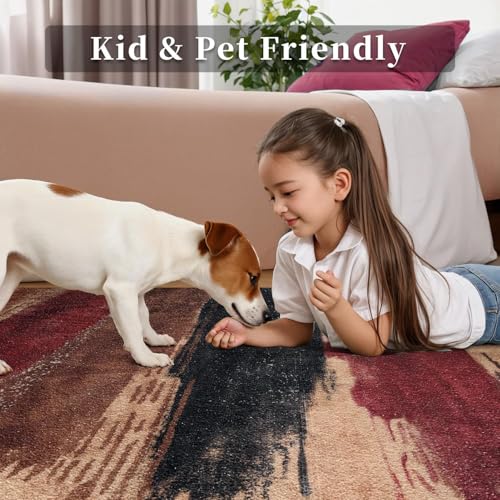 Washable Area Rug 2x3 Entryway Rug