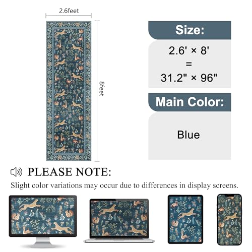 2.6x8 Rug for Hallway (20.8 Sq Ft)