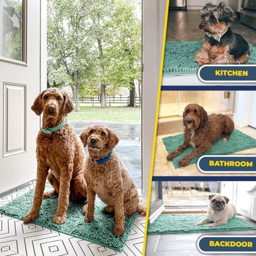 Super Water Absorbent Door Mat Indoor