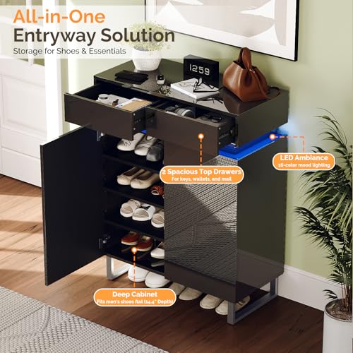 Black Shoe Cabinet with LED Lights