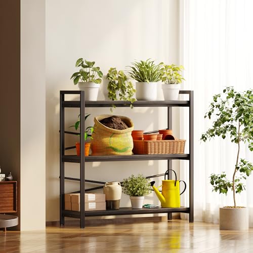 Book Shelf 3 Tier Bookshelf 31.49" Width