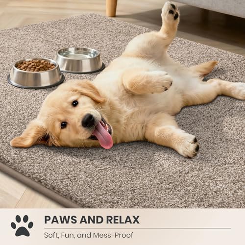 Dirt Trapping Indoor Door Mat