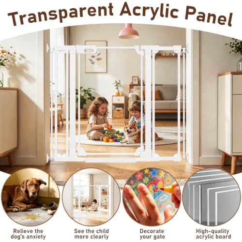 40" Extra Tall Clear Acrylic Dog Gate 57.87