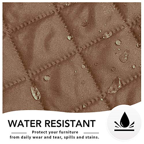 Reversible Couch Cover