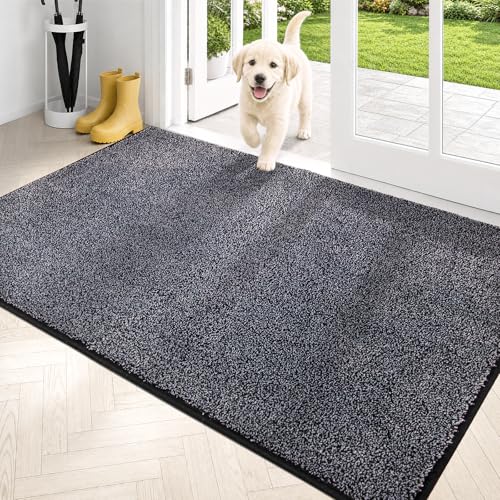 Dirt Trapping Indoor Door Mat