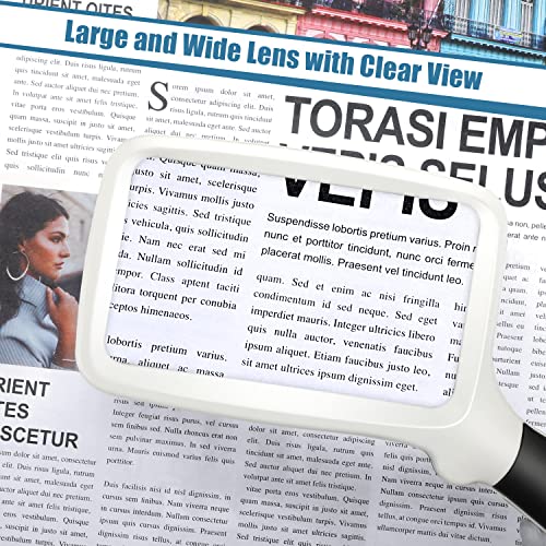 Folding Handheld Magnifying Glass with Light