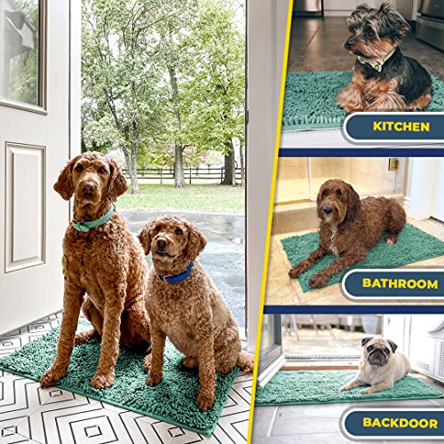 Super Absorbent Door Mat Indoor