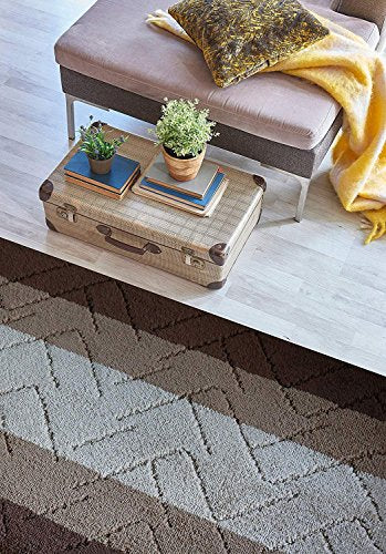 Hallway Runner Rug (23.24997 Sq ft)