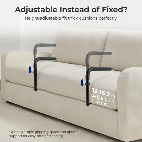 L1 Stand Assist Rail for Couch (Us_l1_black)