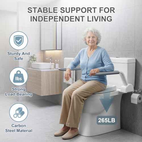 Gray Toilet Safety Rails (Gray)