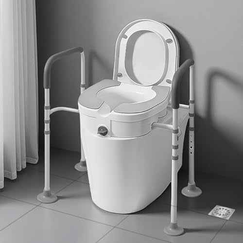 Raised Toilet Seat with Handles (22in / Grey&white)