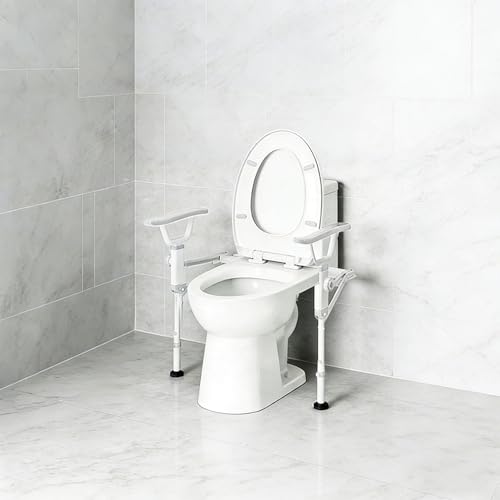 Folding Toilet Safety Rails