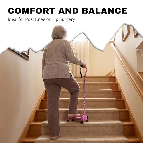 Stair Climbing Cane with Step Platform for Seniors (Pink)