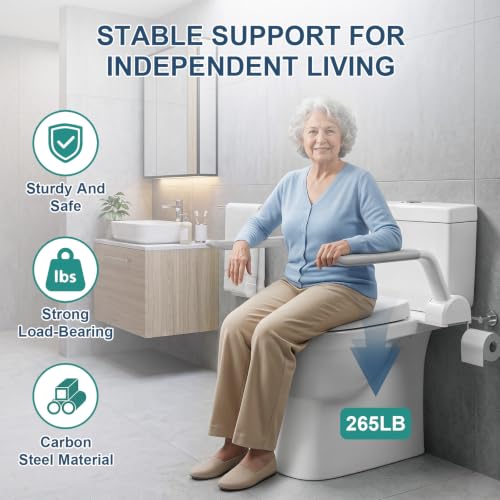 Toilet Safety Rail (Light Gray)