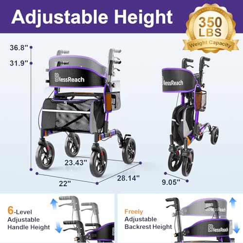 Rollator Walkers for Senior with Seat (Bright Purple / 350 Pound)