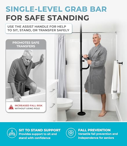Security Pole and Curve Grab Bar (Metallic Black)