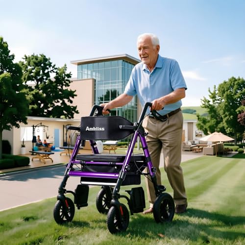 2-in-1 Rollator Transport Wheelchair Combo for Seniors with seat (Purple)