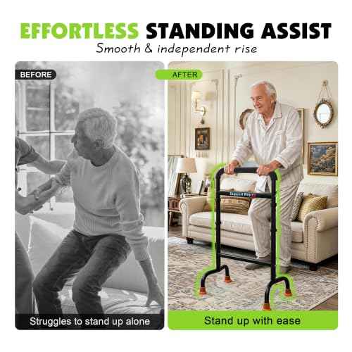 Stand Assist Aid for Elderly (Classic Black)