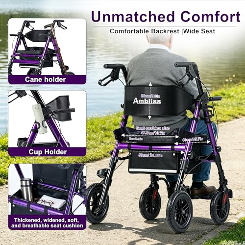 2-in-1 Rollator Transport Wheelchair Combo for Seniors with seat (Purple)